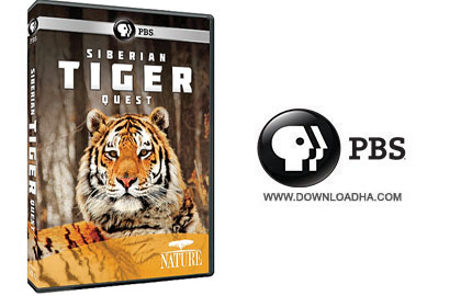 دانلود مستند زیبای ۲۰۱۲ Siberian Tiger Quest